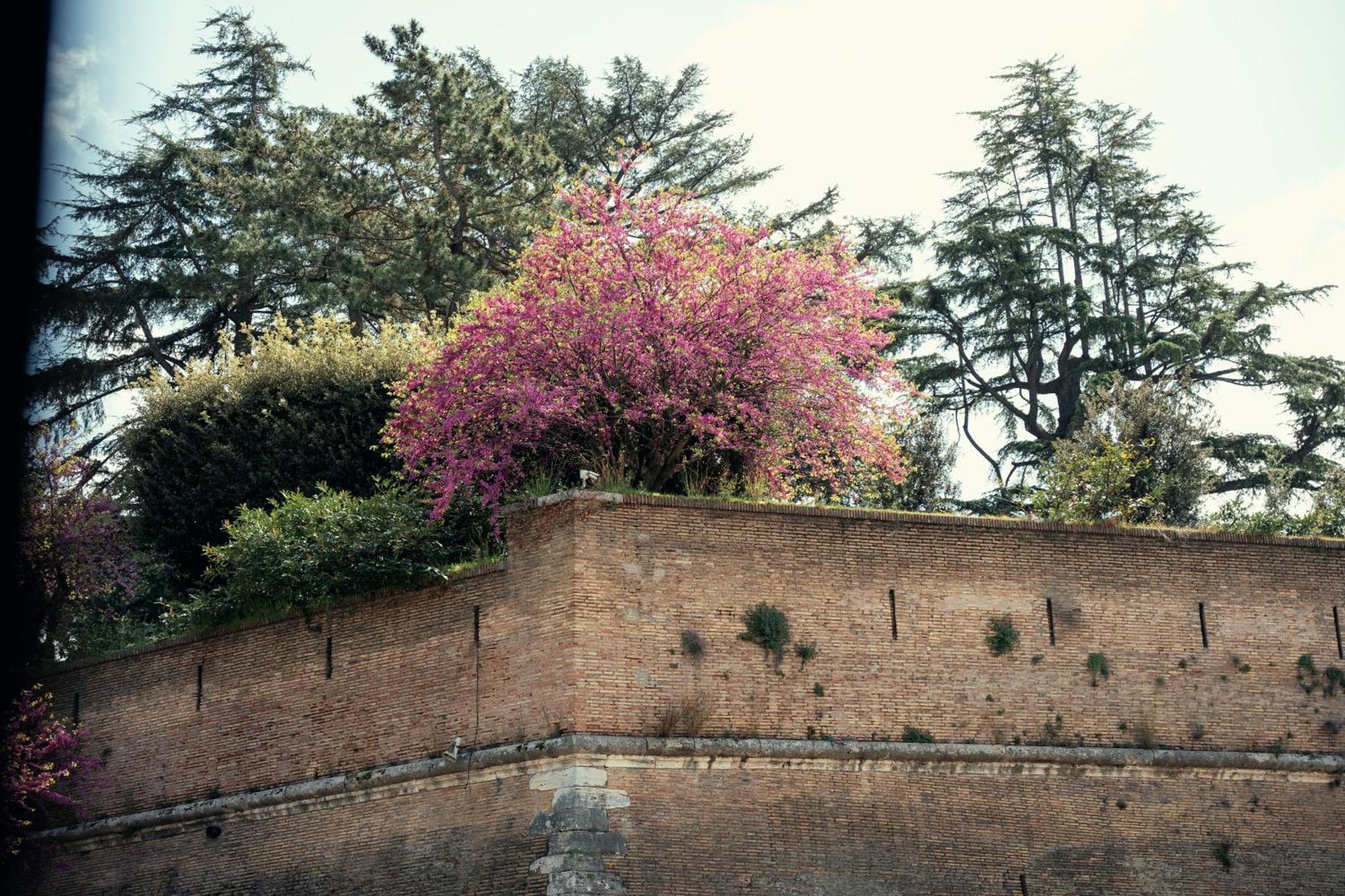 Art House Vaticano Luxury Apartamento Roma